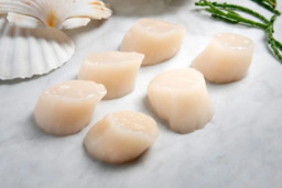 COQUILLES VLEES