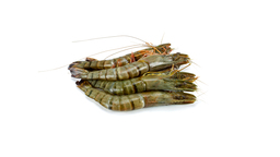 Gamba's rauw met kop Gamba's rauw met kop