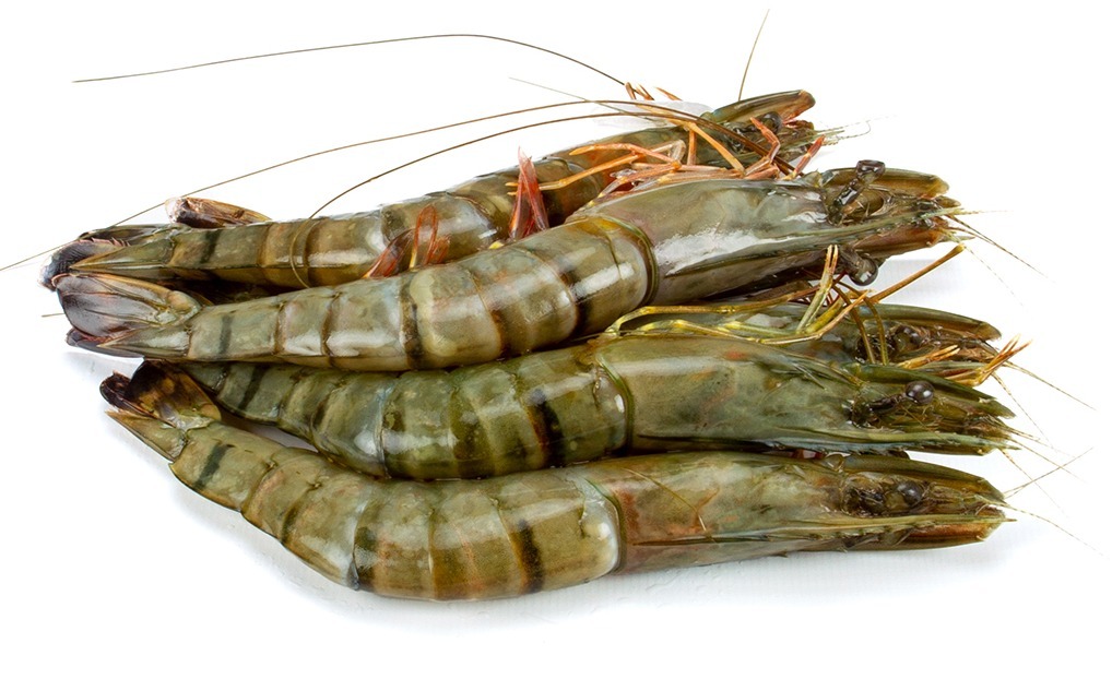 Gamba's rauw met kop - Fish 'n Food Helmond