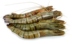 Gamba's rauw met kop Gamba's rauw met kop