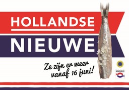 Hollandse nieuwe haring vangst 2022