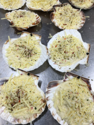 mini coquille schelpjes